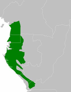 Atlantic Equatorial coastal forests
