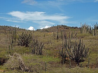 Arikok National Park